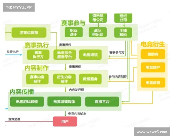 赛事运营公司盈利模式与收入来源深度解析