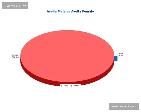 韦拉是什么意思